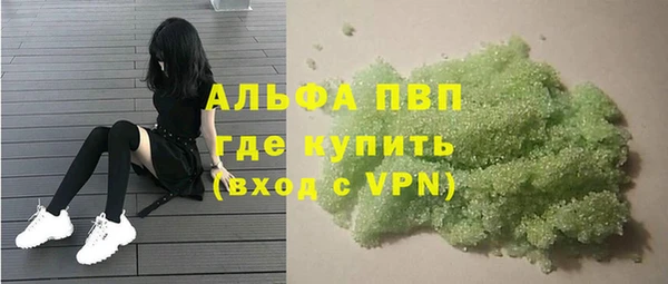 индика Богданович