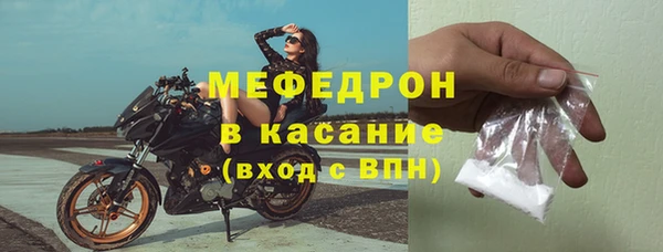 индика Богданович