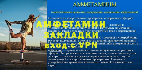индика Богданович