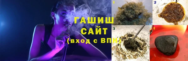 индика Богданович