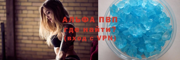 индика Богданович