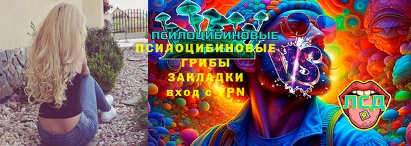 индика Богданович