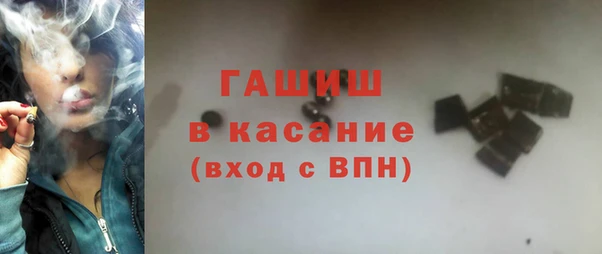 индика Богданович