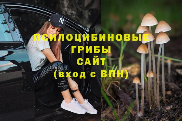 соль курить ск Богородск