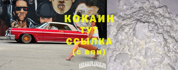 индика Богданович