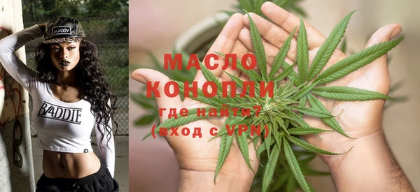 индика Богданович