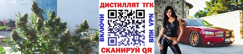 ТГК гашишное масло  продажа наркотиков  Елизаветинская 